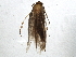  ( - BIOUG06153-F11)  @12 [ ] CreativeCommons - Attribution (2014) CBG Photography Group Centre for Biodiversity Genomics