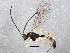  ( - BIOUG06162-H11)  @13 [ ] CreativeCommons - Attribution (2014) CBG Photography Group Centre for Biodiversity Genomics