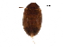  ( - BIOUG27554-C02)  @14 [ ] CreativeCommons - Attribution (2016) CBG Photography Group Centre for Biodiversity Genomics