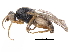  ( - BIOUG22160-D06)  @13 [ ] CreativeCommons - Attribution (2018) CBG Photography Group Centre for Biodiversity Genomics
