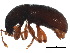  ( - BIOUG12813-E03)  @13 [ ] CreativeCommons - Attribution (2018) CBG Photography Group Centre for Biodiversity Genomics