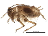  ( - BIOUG20422-C01)  @12 [ ] CreativeCommons - Attribution (2016) CBG Photography Group Centre for Biodiversity Genomics