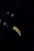  ( - 127477.1)  @11 [ ] CreativeCommons - Attribution Non-Commercial Share-Alike (2019) M. Malaquias University of Bergen, Natural History Collections