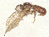  ( - BIOUG65616-H11)  @11 [ ] CreativeCommons - Attribution Share - Alike (2025) CBG Photography Group Centre for Biodiversity Genomics