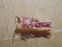  ( - SWRO061)  @11 [ ] by-sa  Unspecified Unspecified