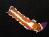  ( - SWRO210)  @11 [ ] by-sa  Unspecified Unspecified