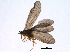  ( - BIOUG03837-C08)  @13 [ ] CreativeCommons - Attribution (2014) CBG Photography Group Centre for Biodiversity Genomics