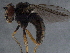  ( - BIOUG04741-D03)  @12 [ ] CreativeCommons - Attribution (2014) CBG Photography Group Centre for Biodiversity Genomics