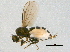  ( - BIOUG04789-A03)  @13 [ ] CreativeCommons - Attribution (2014) CBG Photography Group Centre for Biodiversity Genomics