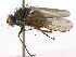  ( - BIOUG04807-E12)  @14 [ ] CreativeCommons - Attribution (2012) CBG Photography Group Centre for Biodiversity Genomics