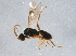  ( - BIOUG04854-G03)  @13 [ ] CreativeCommons - Attribution (2014) CBG Photography Group Centre for Biodiversity Genomics
