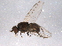  ( - BIOUG04866-E03)  @12 [ ] CreativeCommons - Attribution (2014) CBG Photography Group Centre for Biodiversity Genomics