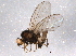  ( - BIOUG04944-G03)  @12 [ ] CreativeCommons - Attribution (2014) CBG Photography Group Centre for Biodiversity Genomics