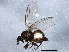  ( - BIOUG05008-D03)  @12 [ ] CreativeCommons - Attribution (2014) CBG Photography Group Centre for Biodiversity Genomics