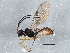  ( - BIOUG04667-E09)  @14 [ ] CreativeCommons - Attribution (2014) CBG Photography Group Centre for Biodiversity Genomics