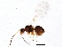 ( - BIOUG04667-F11)  @13 [ ] CreativeCommons - Attribution (2014) CBG Photography Group Centre for Biodiversity Genomics