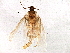  ( - BIOUG03118-F04)  @12 [ ] CreativeCommons - Attribution (2013) CBG Photography Group Centre for Biodiversity Genomics
