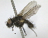  ( - BIOUG04930-G08)  @12 [ ] CreativeCommons - Attribution (2014) CBG Photography Group Centre for Biodiversity Genomics