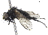  ( - BIOUG05064-D11)  @13 [ ] CreativeCommons - Attribution (2019) CBG Photography Group Centre for Biodiversity Genomics