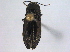  ( - BIOUG05250-E12)  @13 [ ] CreativeCommons - Attribution (2014) CBG Photography Group Centre for Biodiversity Genomics