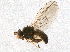  ( - BIOUG05401-E11)  @12 [ ] CreativeCommons - Attribution (2015) CBG Photography Group Centre for Biodiversity Genomics