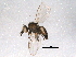  ( - BIOUG05469-C06)  @13 [ ] CreativeCommons - Attribution (2014) CBG Photography Group Centre for Biodiversity Genomics