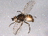  ( - BIOUG05469-E08)  @13 [ ] CreativeCommons - Attribution (2014) CBG Photography Group Centre for Biodiversity Genomics