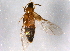  ( - BIOUG05926-A09)  @14 [ ] CreativeCommons - Attribution (2014) CBG Photography Group Centre for Biodiversity Genomics