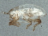  ( - BIOUG05473-E04)  @12 [ ] CreativeCommons - Attribution (2014) CBG Photography Group Centre for Biodiversity Genomics