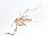  ( - BIOUG05473-F01)  @13 [ ] CreativeCommons - Attribution (2014) CBG Photography Group Centre for Biodiversity Genomics
