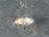  ( - BIOUG05473-F02)  @13 [ ] CreativeCommons - Attribution (2014) CBG Photography Group Centre for Biodiversity Genomics