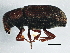  ( - BIOUG05905-G04)  @14 [ ] CreativeCommons - Attribution (2014) CBG Photography Group Centre for Biodiversity Genomics