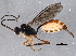  ( - BIOUG05443-D02)  @13 [ ] CreativeCommons - Attribution (2014) CBG Photography Group Centre for Biodiversity Genomics