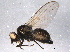  ( - BIOUG06502-C07)  @12 [ ] CreativeCommons - Attribution (2014) CBG Photography Group Centre for Biodiversity Genomics