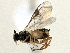  ( - BIOUG06528-H06)  @12 [ ] CreativeCommons - Attribution (2014) CBG Photography Group Centre for Biodiversity Genomics