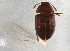  ( - BIOUG05926-H09)  @12 [ ] CreativeCommons - Attribution (2014) CBG Photography Group Centre for Biodiversity Genomics