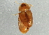  ( - BIOUG06452-A06)  @13 [ ] CreativeCommons - Attribution (2014) CBG Photography Group Centre for Biodiversity Genomics