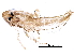  ( - BIOUG06939-B03)  @12 [ ] CreativeCommons - Attribution (2016) CBG Photography Group Centre for Biodiversity Genomics