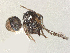  ( - BIOUG08488-H03)  @11 [ ] CreativeCommons - Attribution Share - Alike (2025) CBG Photography Group Centre for Biodiversity Genomics