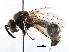  ( - BIOUG08756-G03)  @13 [ ] CreativeCommons - Attribution (2016) CBG Photography Group Centre for Biodiversity Genomics