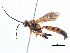  ( - BIOUG08963-C06)  @14 [ ] CreativeCommons - Attribution (2014) CBG Photography Group Centre for Biodiversity Genomics