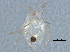  ( - BIOUG09500-E07)  @12 [ ] CreativeCommons - Attribution (2014) CBG Photography Group Centre for Biodiversity Genomics