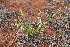  ( - CCDB-44155-H01)  @11 [ ] by-nc (2023) Justin Holder Flinders University