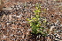  ( - CCDB-44155-F01)  @11 [ ] by-nc (2023) Justin Holder Flinders University