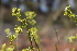  ( - CCDB-44155-E01)  @11 [ ] by-nc (2023) Justin Holder Flinders University