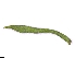  ( - CCDB-44155-D02)  @11 [ ] by-nc (2023) Justin Holder Flinders University