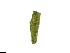  ( - CCDB-44155-C02)  @11 [ ] by-nc (2023) Justin Holder Flinders University