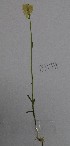  ( - CCDB-44155-G03)  @11 [ ] by-nc (2023) Justin Holder Flinders University