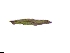  ( - CCDB-44155-G05)  @11 [ ] by-nc (2023) Justin Holder Flinders University