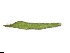  ( - CCDB-44155-E05)  @11 [ ] by-nc (2023) Justin Holder Flinders University